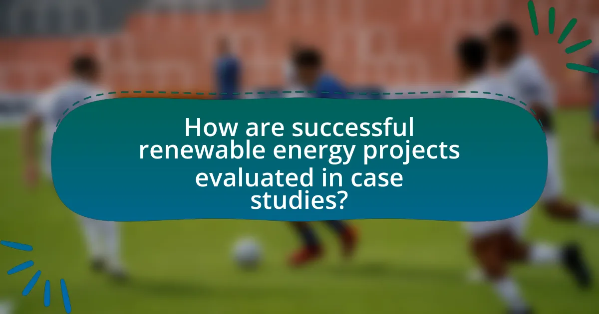 How are successful renewable energy projects evaluated in case studies?