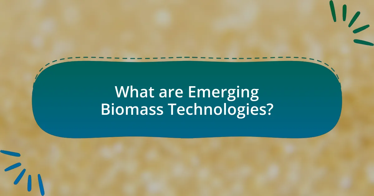 What are Emerging Biomass Technologies?