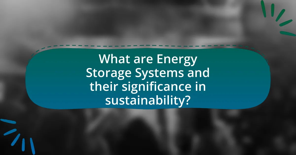 What are Energy Storage Systems and their significance in sustainability?