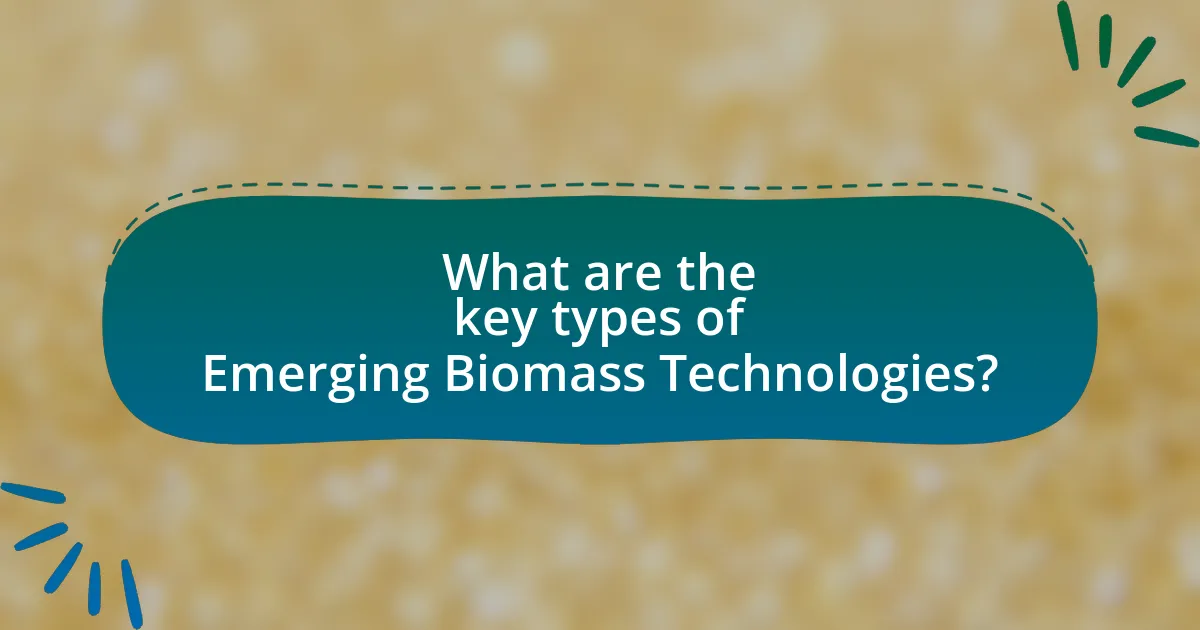 What are the key types of Emerging Biomass Technologies?