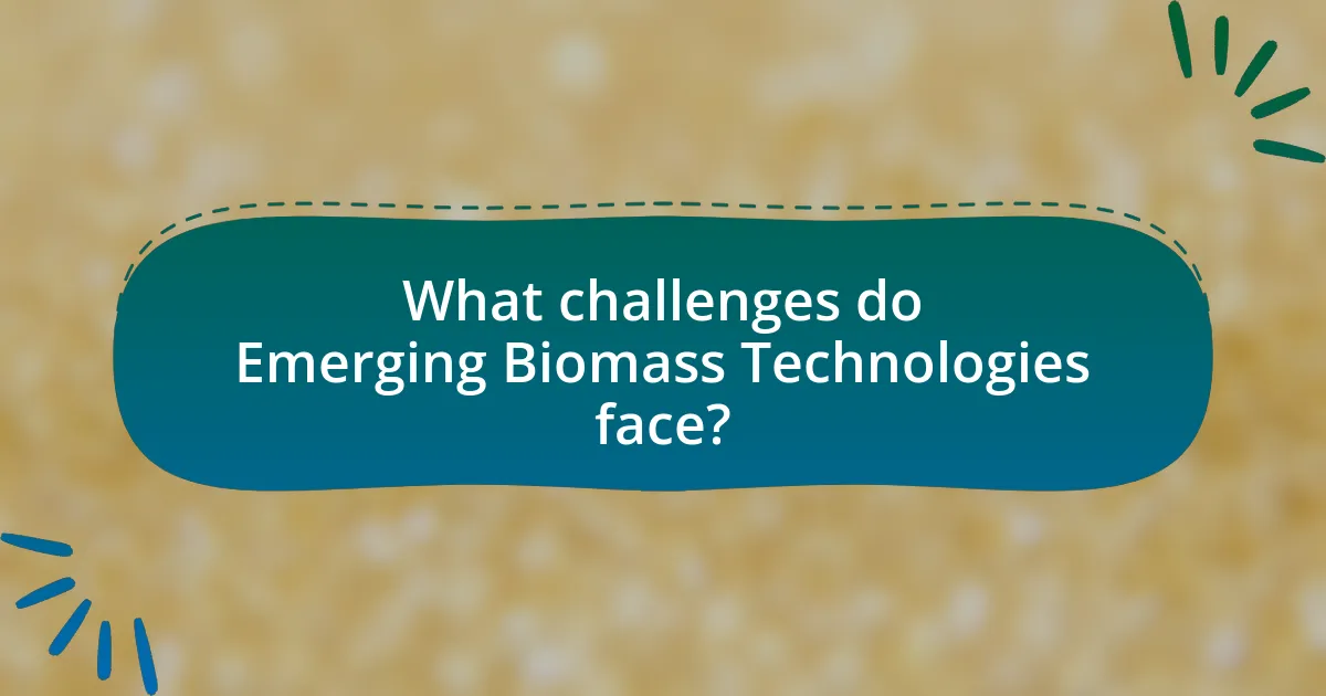 What challenges do Emerging Biomass Technologies face?