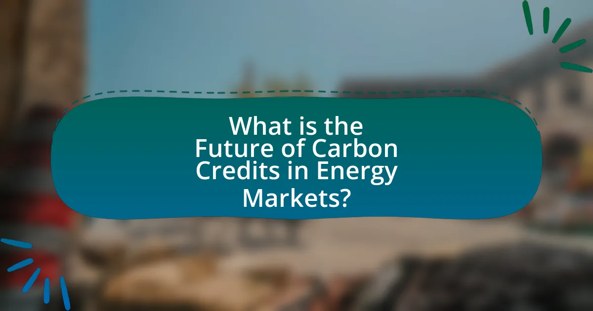 What is the Future of Carbon Credits in Energy Markets?